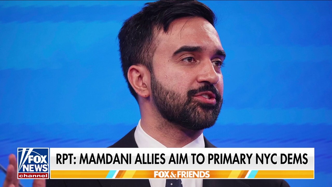 Zohran Mamdani allies reportedly looking to unseat Democrat incumbents 
