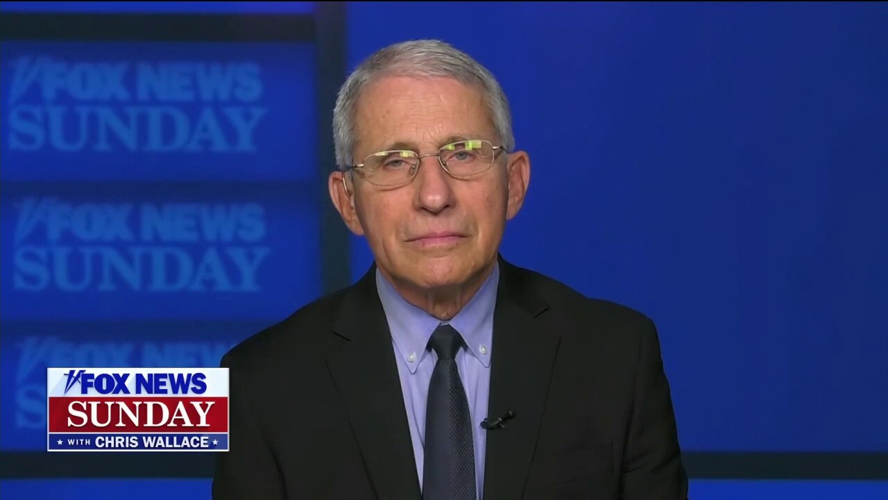 Fauci: Lifting coronavirus restrictions now is ‘risky and potentially dangerous’