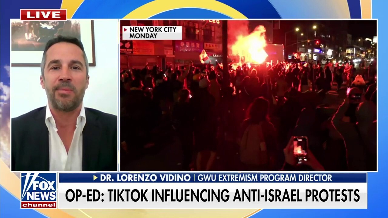 Hamas is trying to influence young Americans through TikTok amid anti-Israel protests, expert warns