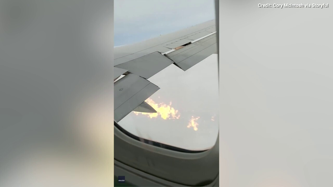 Друг клиент на Delta Air Lines избухва на изхода за заминаване, което води до полицейски действия и забавяне на самолета