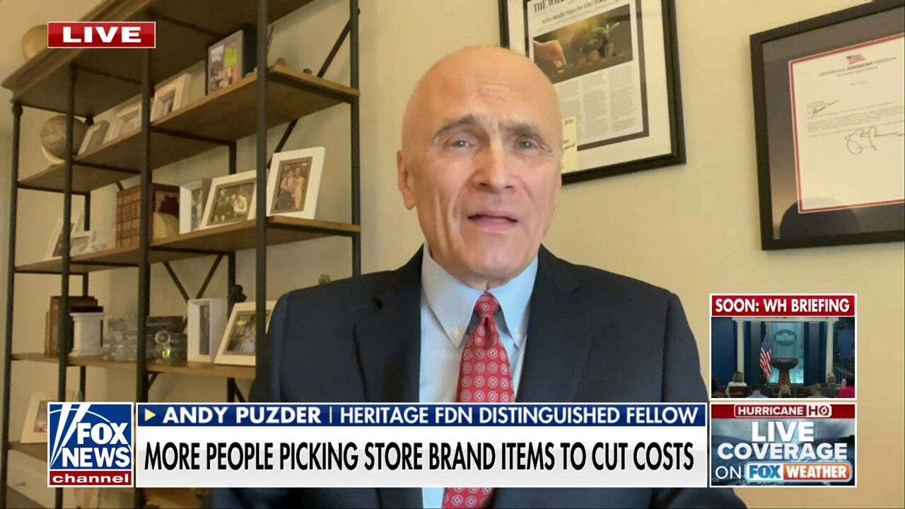 Democrats can't deny Biden is suffering from the 'ravages of age': Andy Puzder