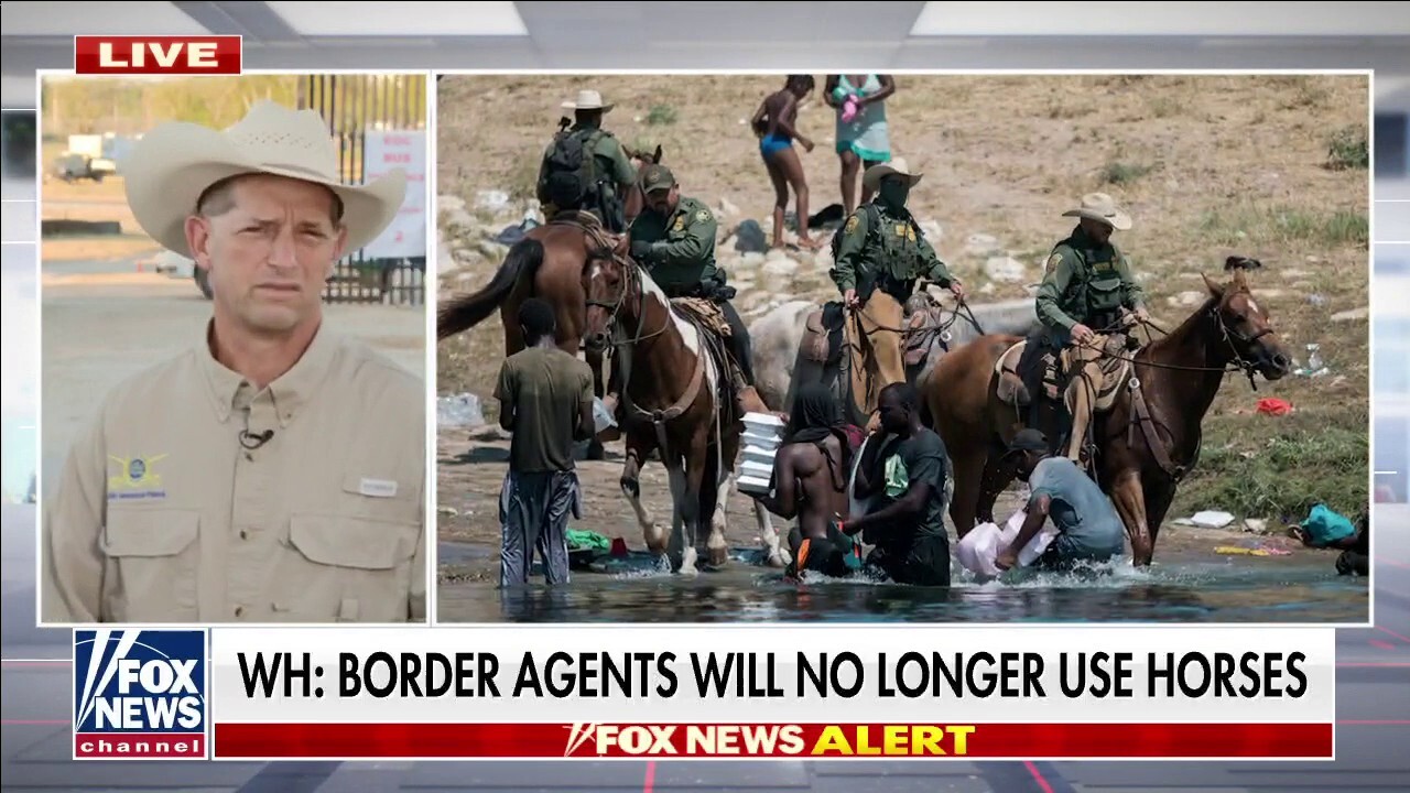 Former Border Patrol horse coordinator dispels whipping accusations: 'A bunch of BS'