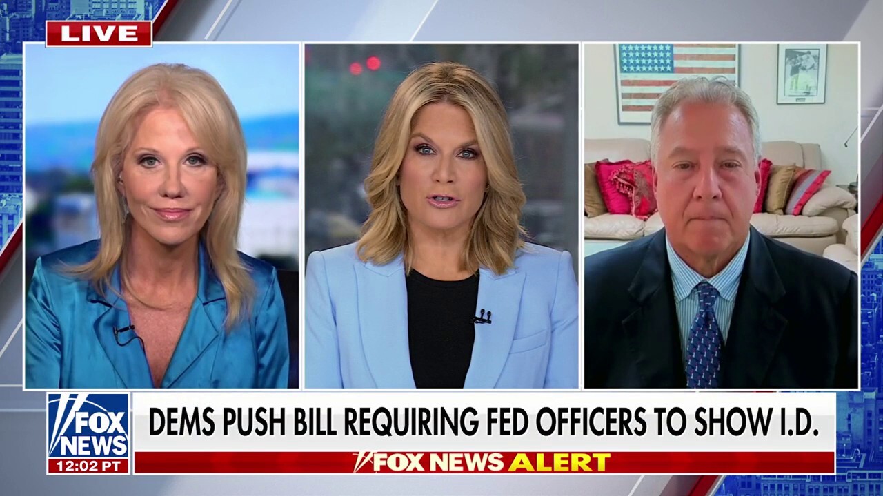 Kellyanne Conway: I can't believe the Democratic Party is asking for violence