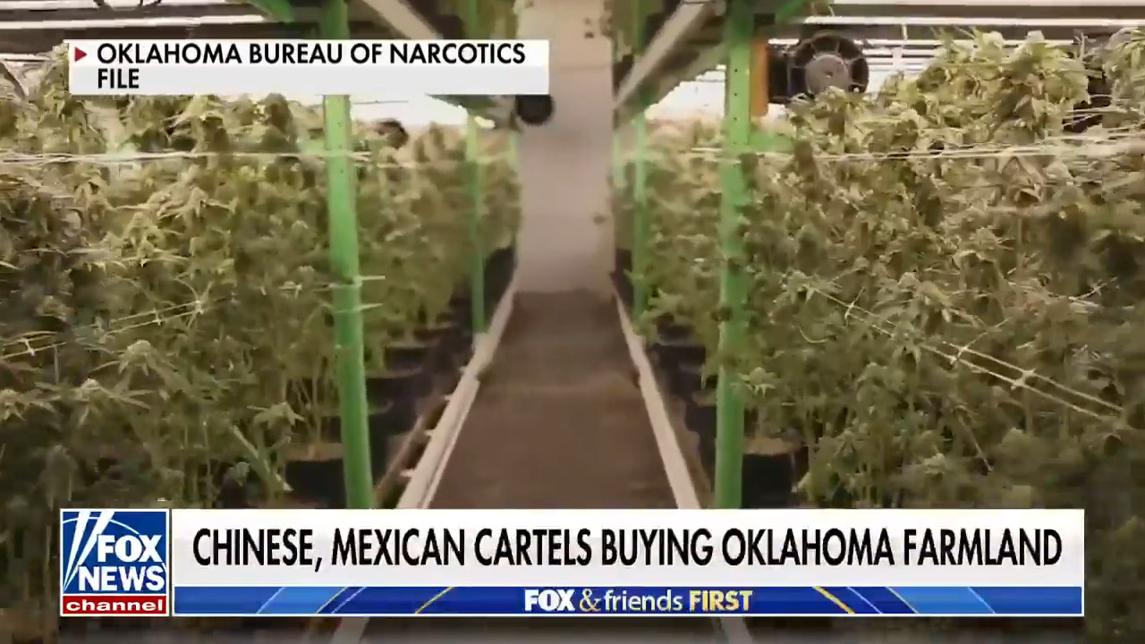Concerns mount over Chinese, Mexican cartels buying farmland in Oklahoma 