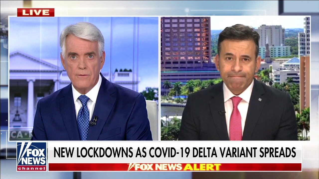 FOX NEWS: Spread of Delta variant could prompt new COVID lockdowns across US June 30, 2021 at 12:25AM