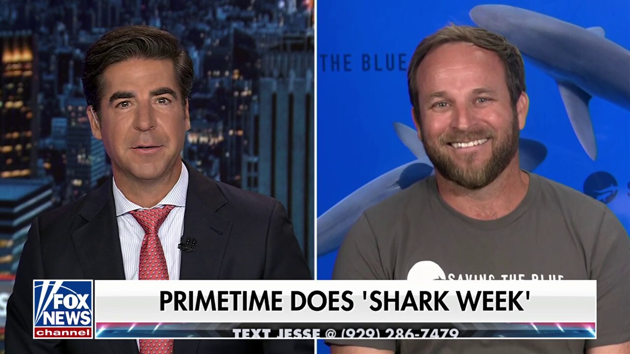 ‘Saving the Blue’ shark expert Dr. Tristan Guttridge gives ‘Jesse Watters Primetime’ a shark week lesson.