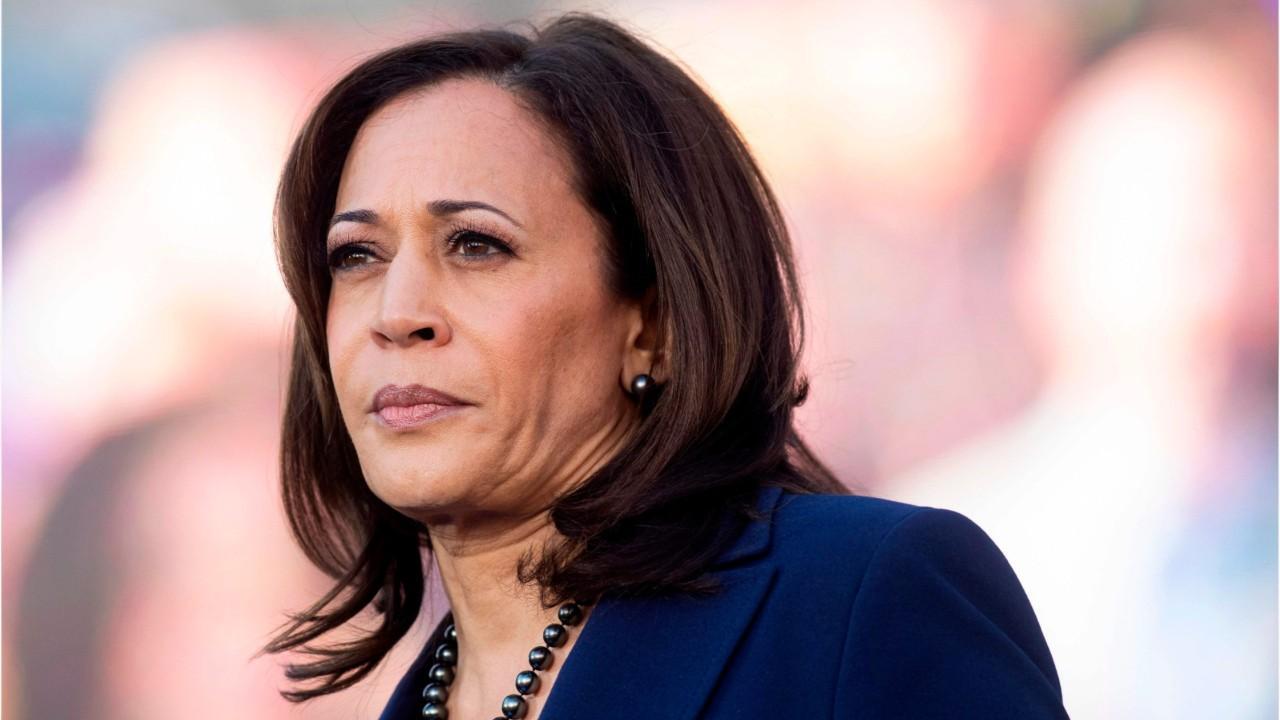 'The Five' react to Joe Biden's selection of Kamala Harris as running mate