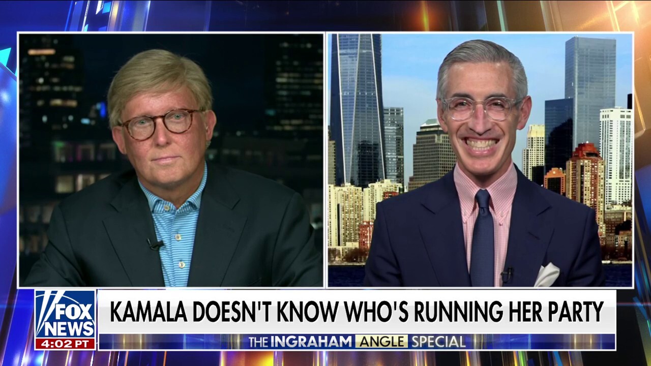 Political analyst offers an answer to who is the leader of the Democratic Party