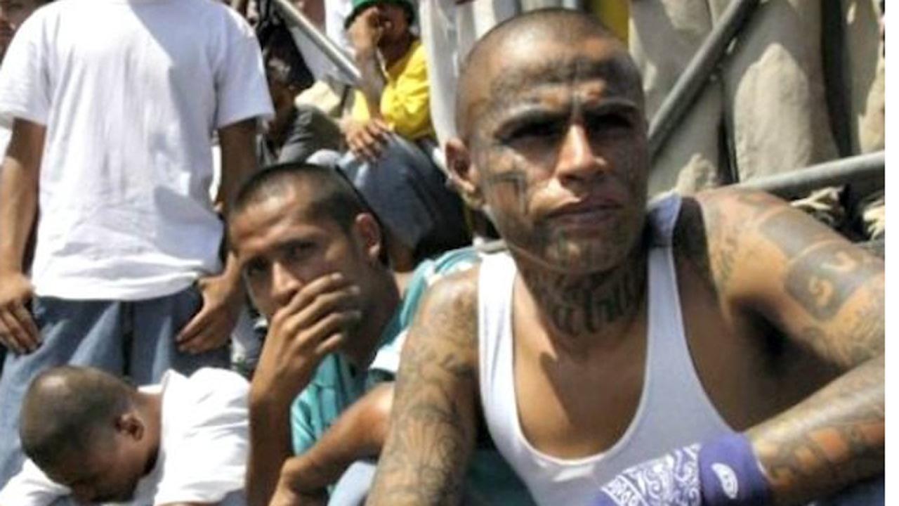 MS-13 gang causing violence across the nation