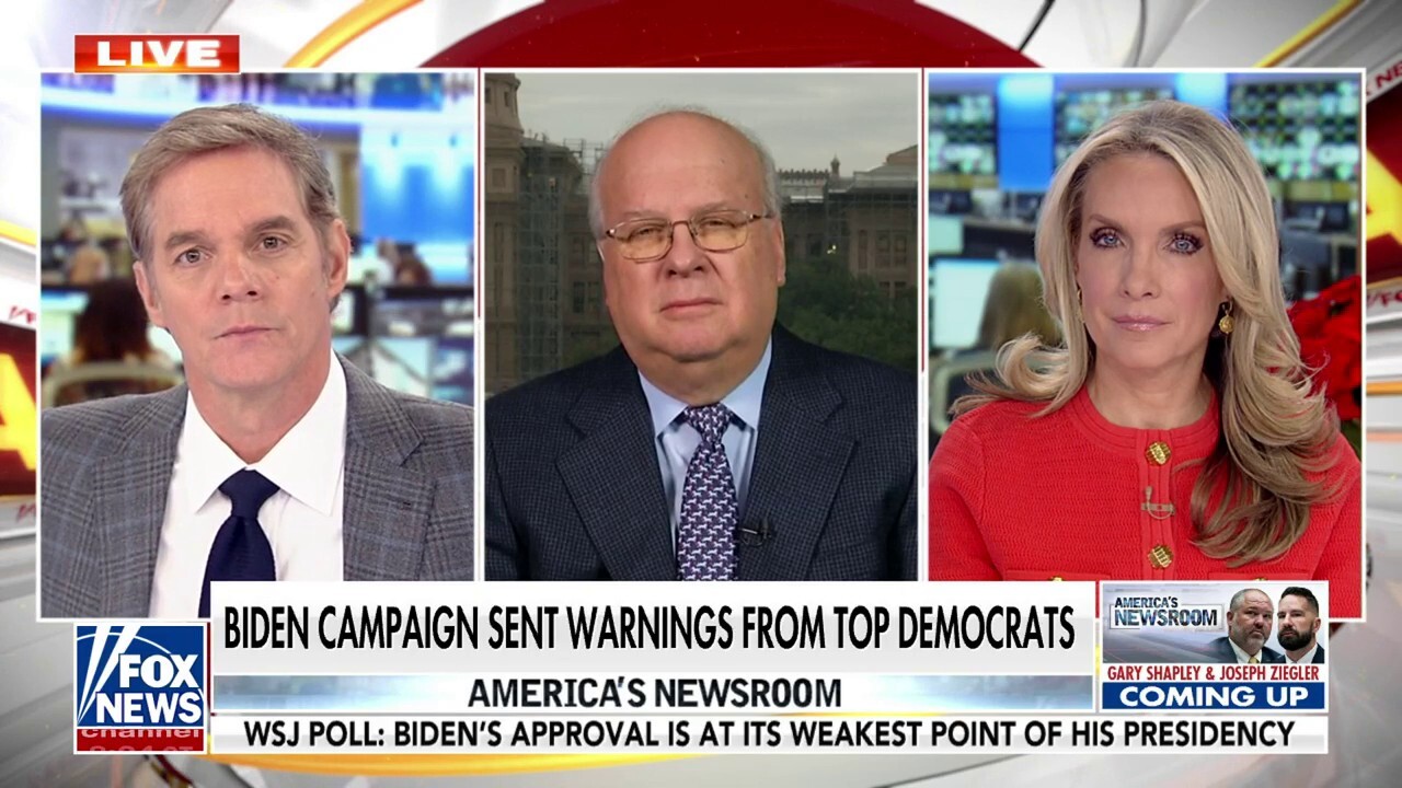 Karl Rove rips Hunter Biden for ‘lecturing’ GOP: ‘There’s one person to blame’