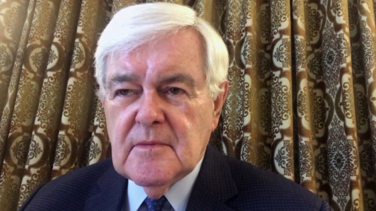 Gingrich: Radical House is salivating at blackmailing the country with another coronavirus bill 
