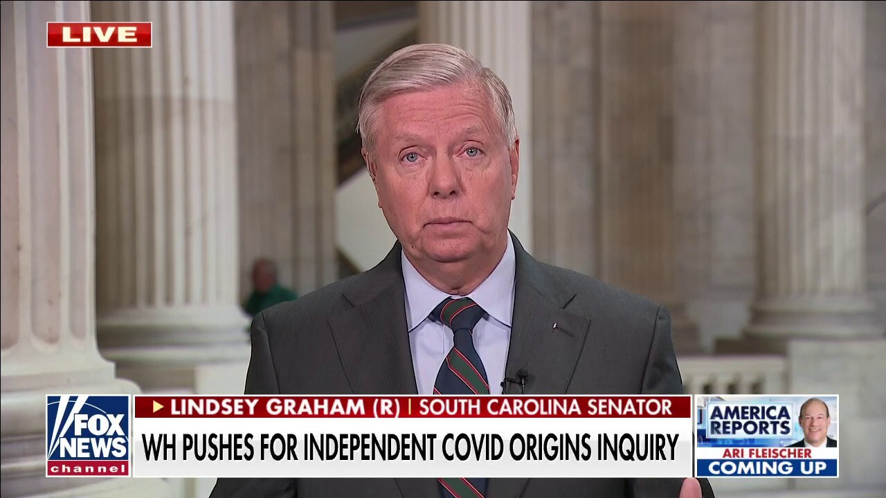 Graham: Without sanctions, China will never help find source of virus 