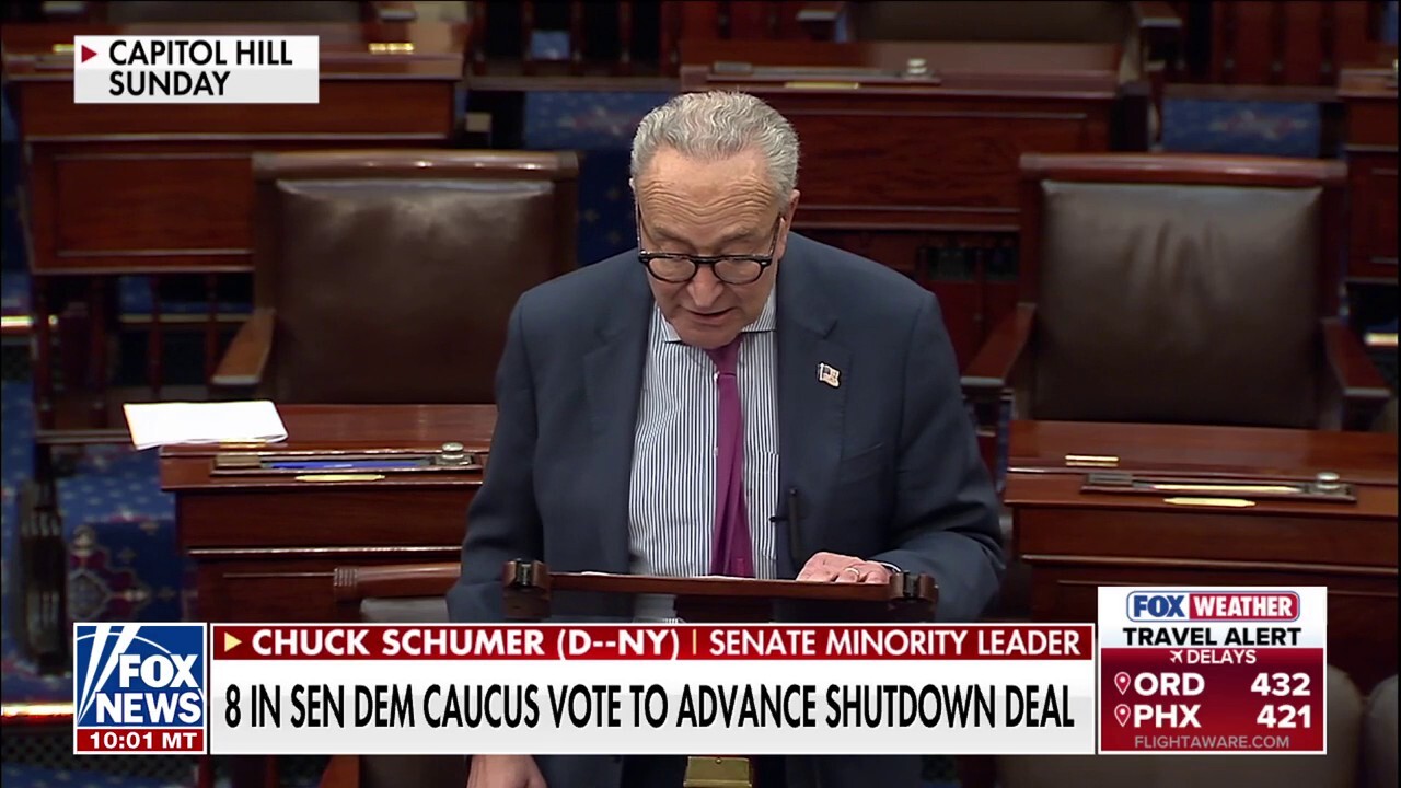 Democrats enraged after eight caucus members break with party to reopen government