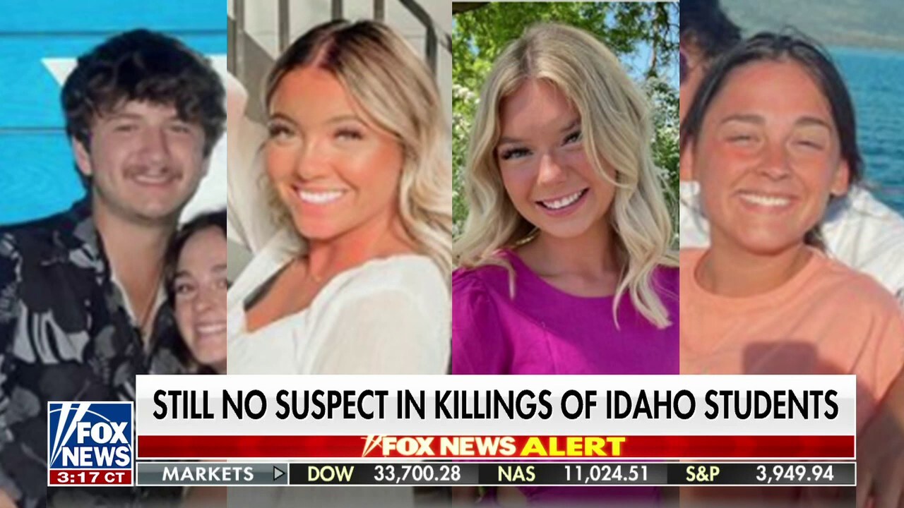 Pat Brosnan: University of Idaho murder assailant 'is a ghost'