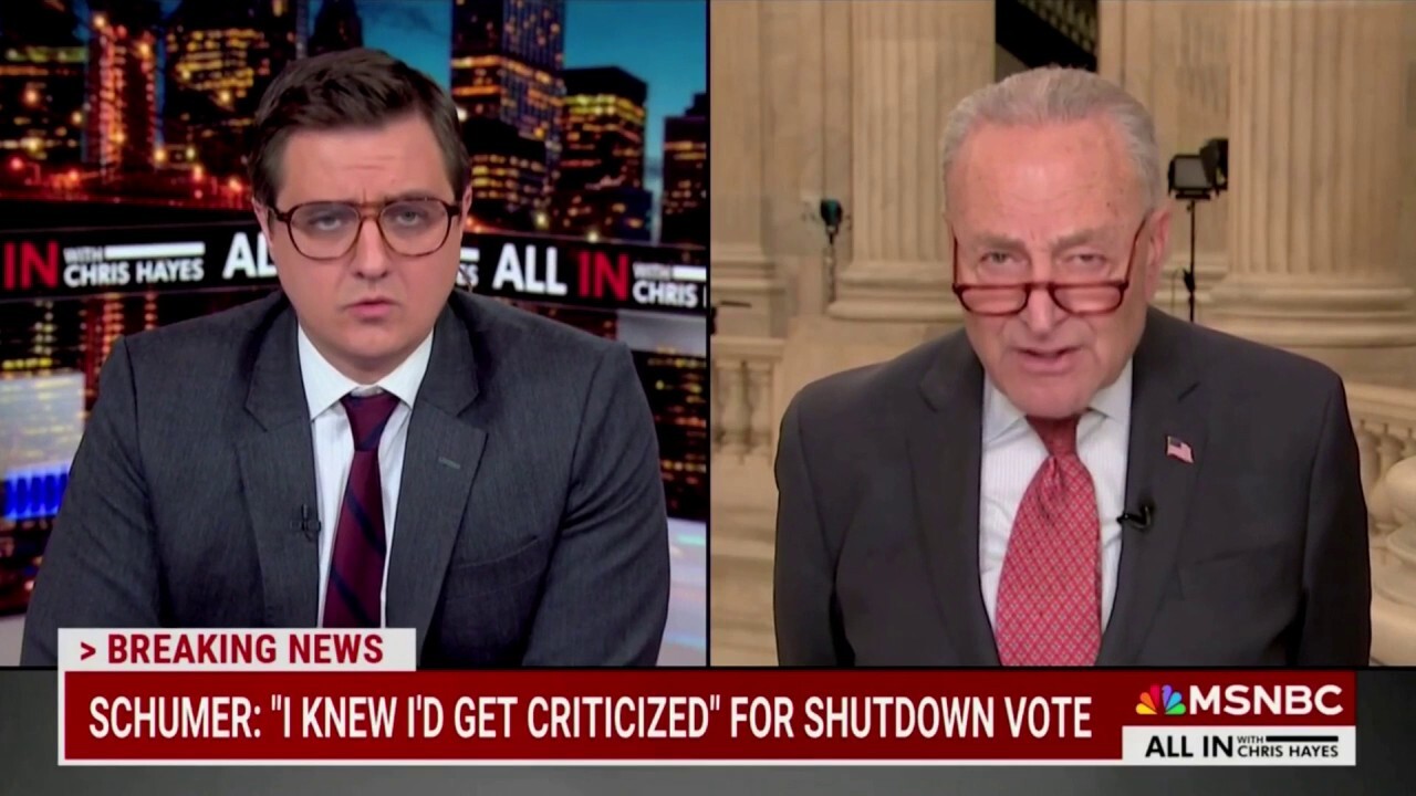 Chuck Schumer calls Republicans 'b-----ds' in scathing MSNBC interview