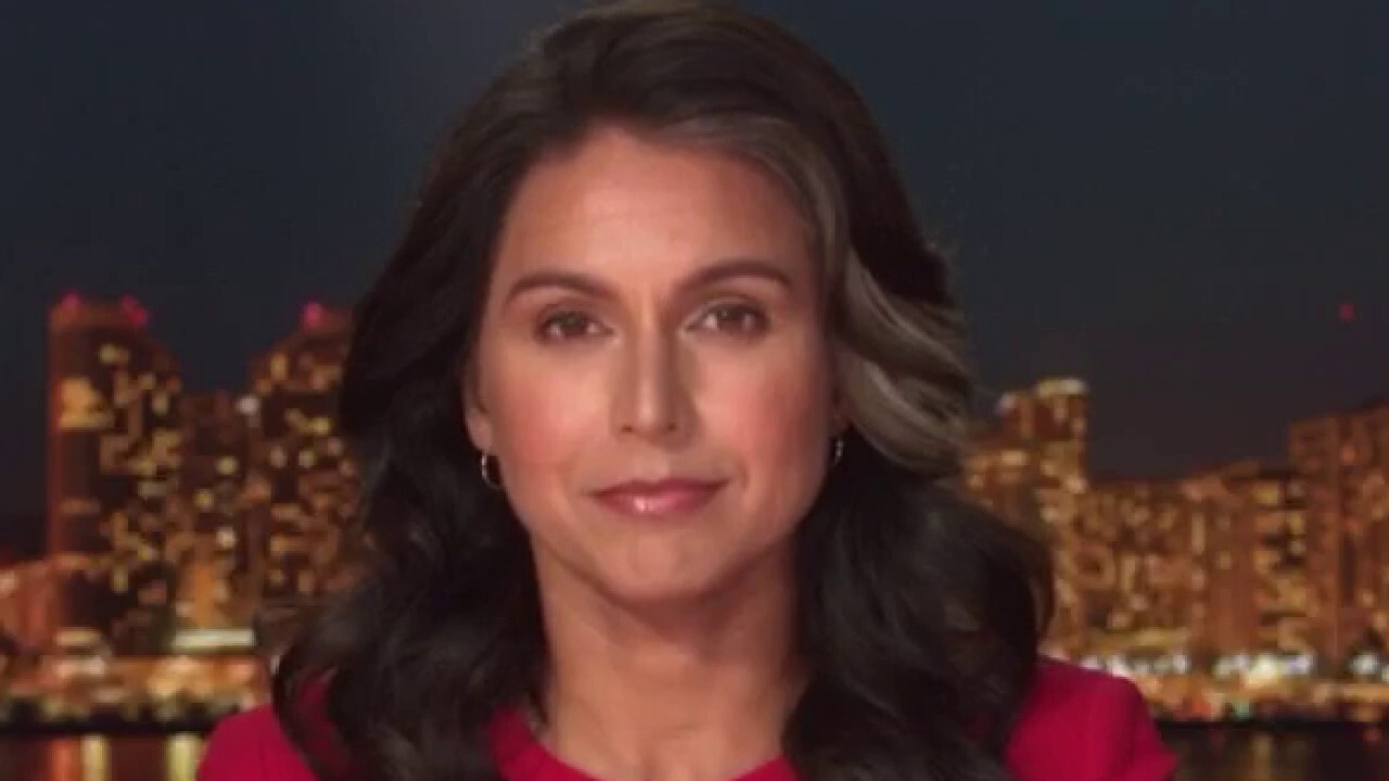 Tulsi Gabbard signs 'statement of concern' over alleged 2018 Syrian chemical attack