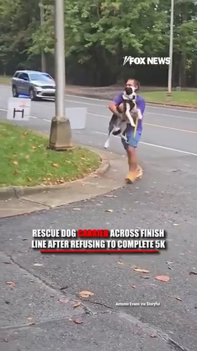 Owner carries rescue dog across finish line to complete 5k