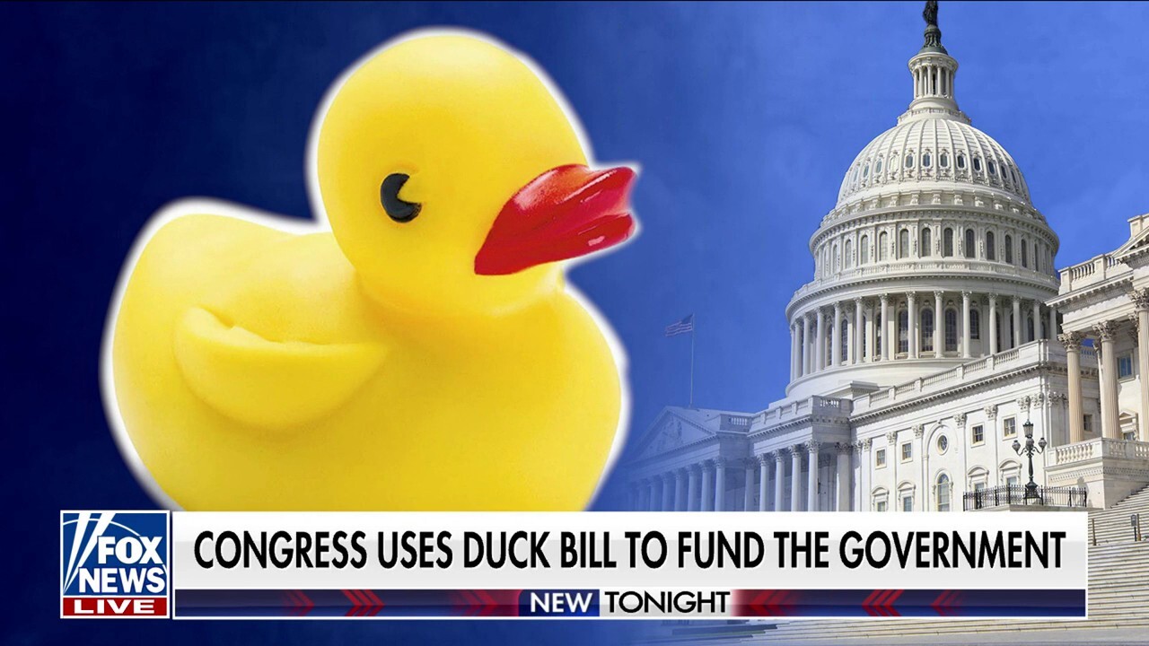 Congress uses duck bill to avoid a shutdown