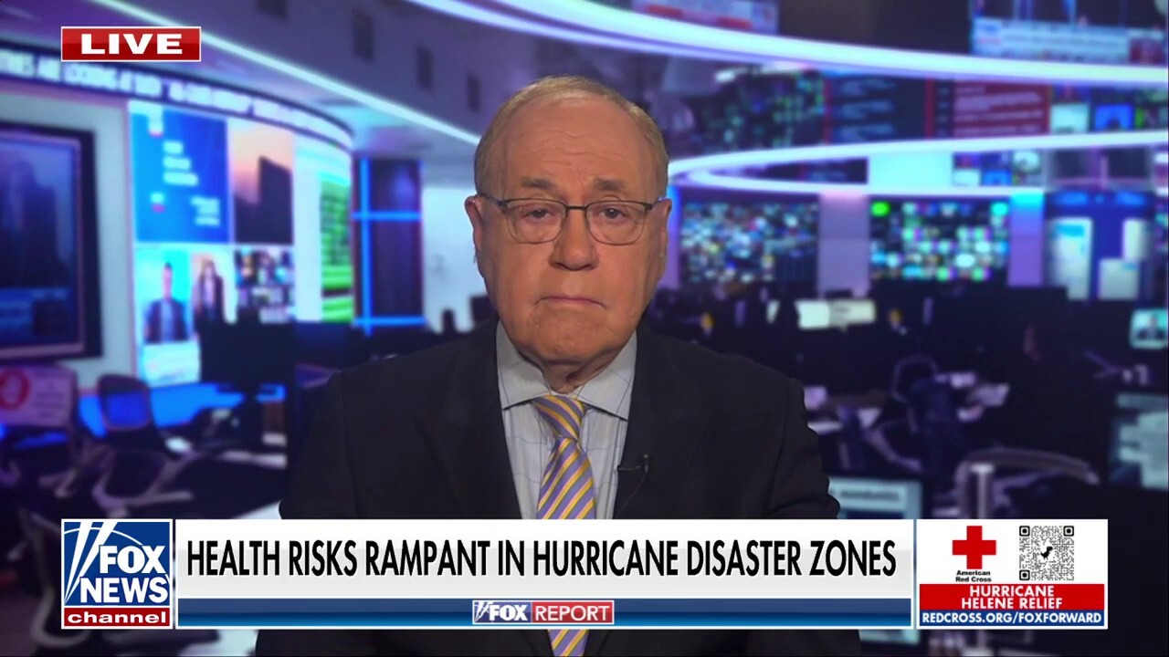 Fox News senior medical analyst Dr. Marc Siegel discusses the health threats posed after Hurricane Helene's devastation on 'Fox Report.'