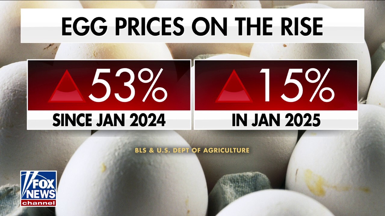 Vice president of Eggs Unlimited Brian Moscogiuri explains why egg prices will continue to soar as the bird flu outbreak slows production. 