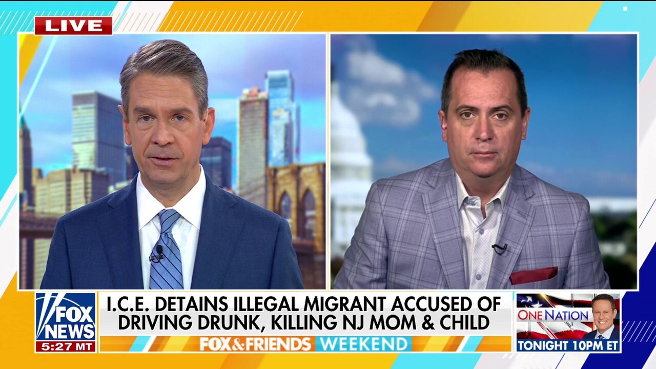 Democratic Party 'gets more status fighting ICE than criminals,' former official says