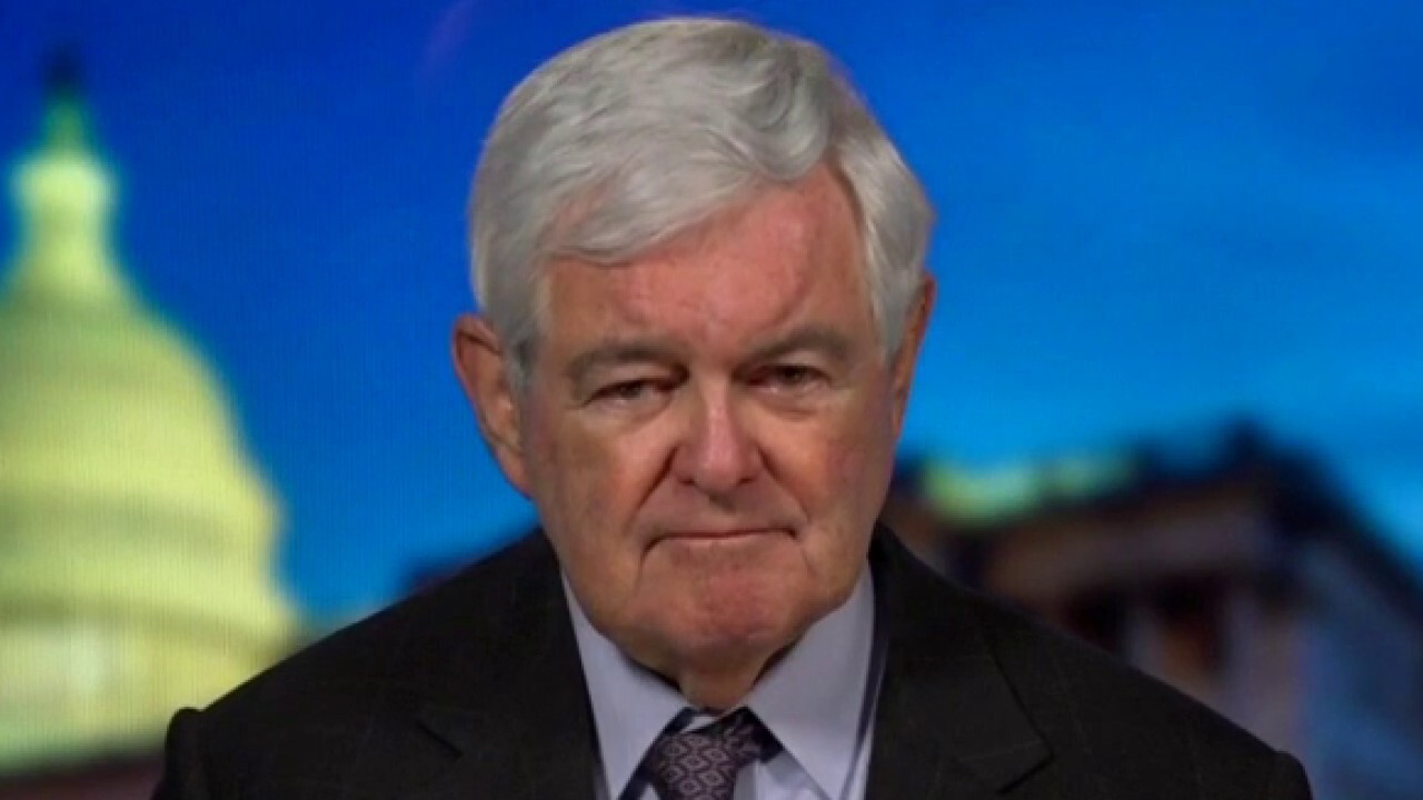 Gingrich claims Democrats have 'given up keeping House' in 2022, are 'ramming through everything they can'