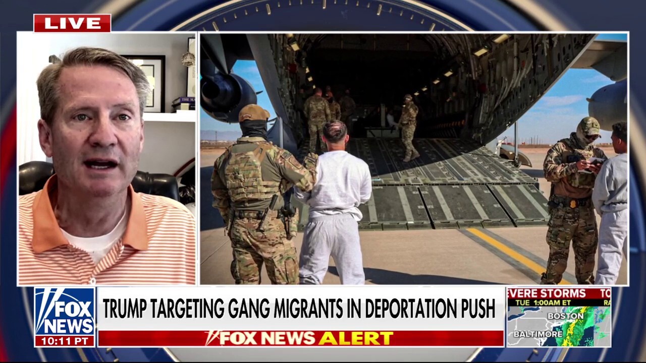 'They think they have infinite power': GOP Rep. Burchett slams federal judges for halting deportation flights