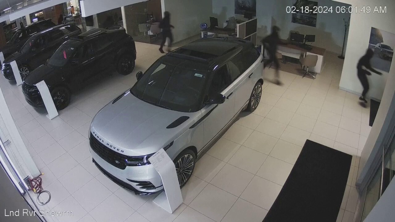 Teens steal 9 luxury cars from Wisconsin dealership
