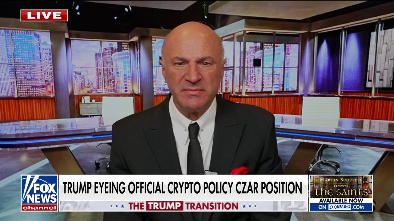 'Shark Tank' investor Kevin O'Leary joins 'Fox & Friends' to discuss Elon Musk and Vivek Ramaswamy leading DOGE, Trump's potential appointments for Treasury secretary, and the first-ever crypto czar.