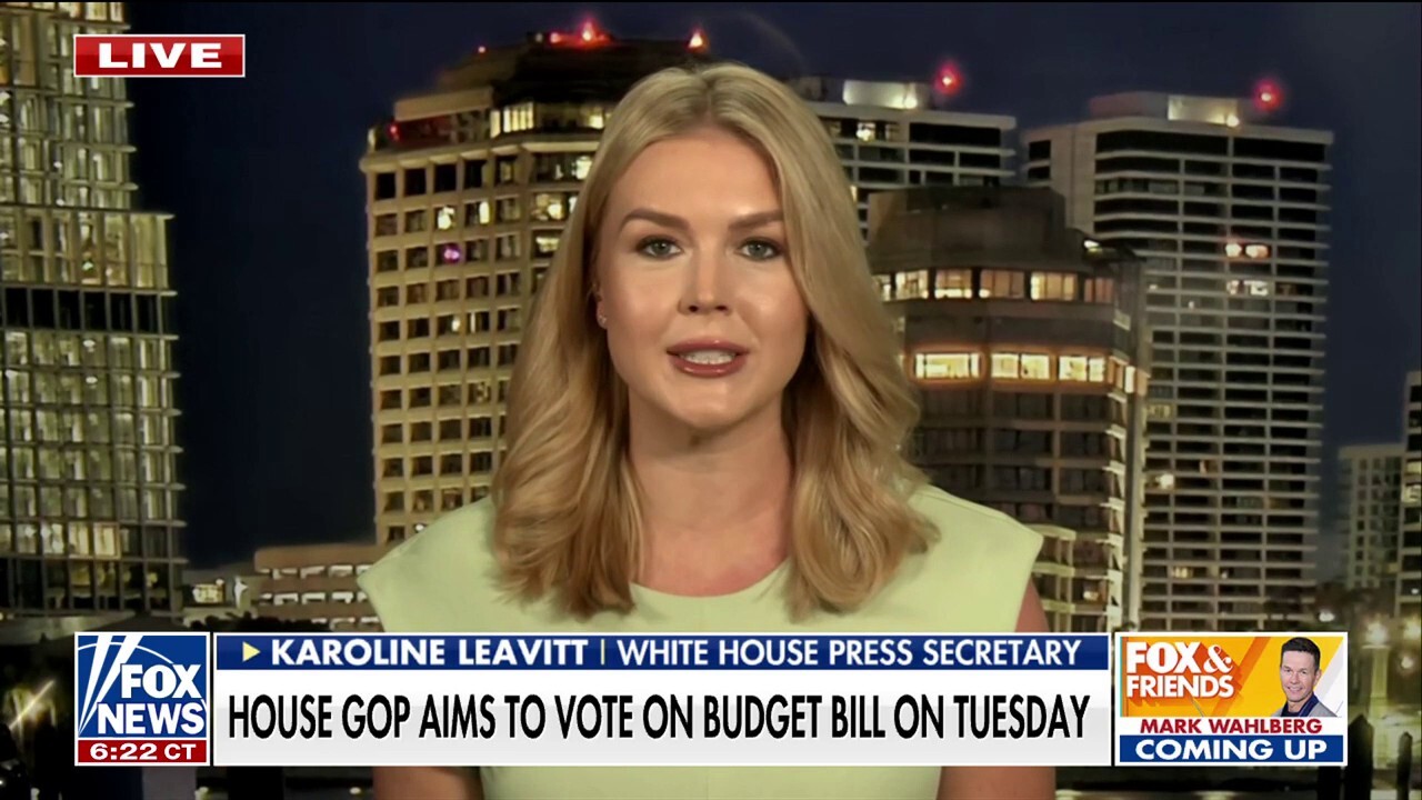 Karoline Leavitt slams media for 'pitiful' Rubio, Musk feud rumors