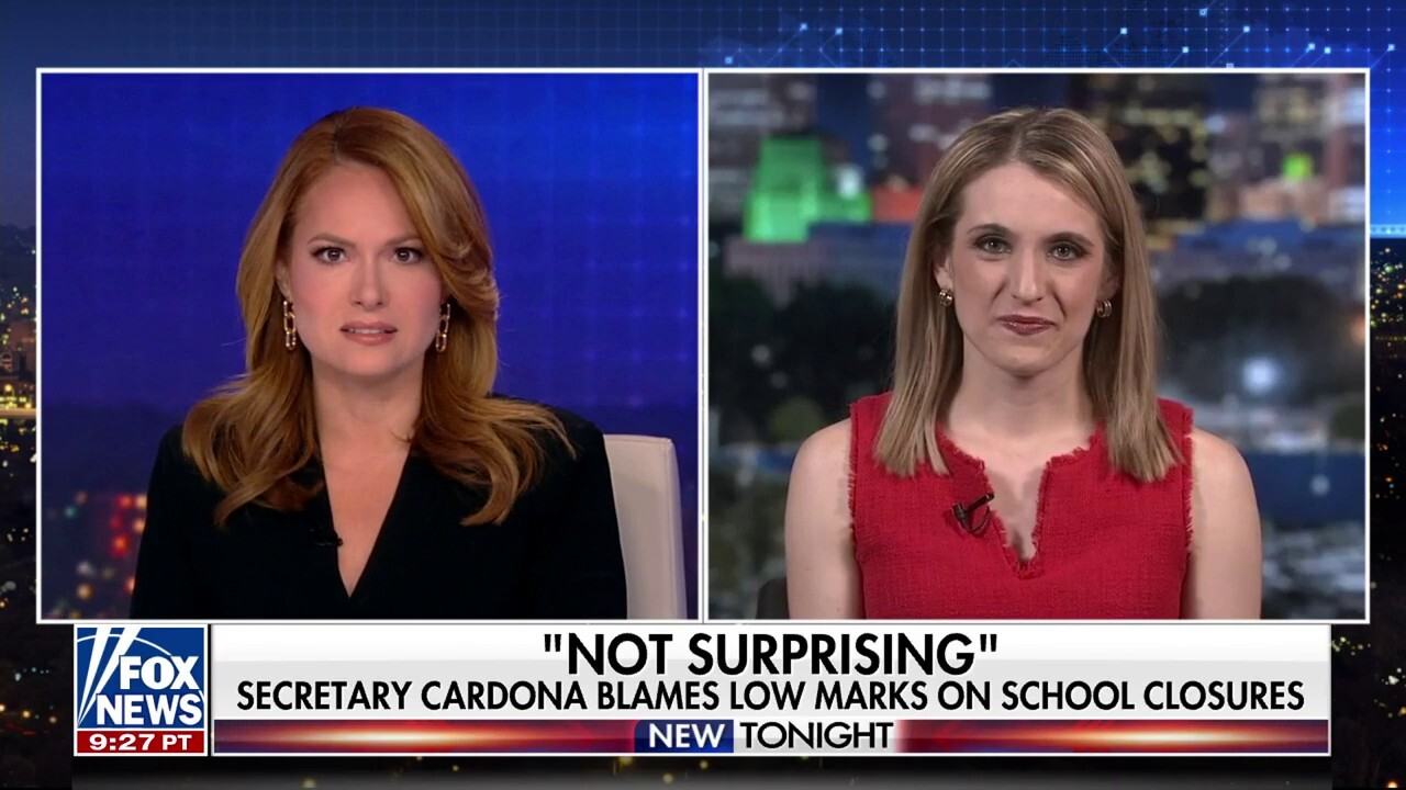 Progressive radical ideology to blame for 'terrible test scores': Angela Morabito