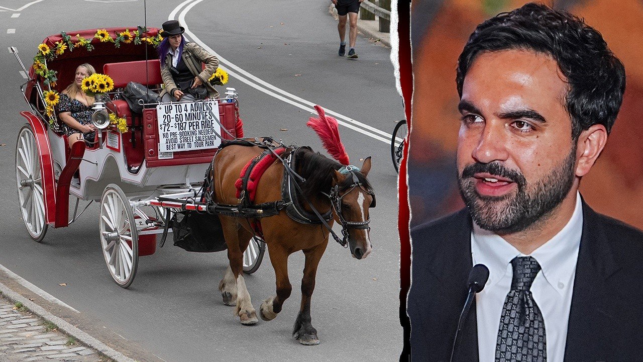 Mamdani's horse carriage ban sparks union backlash over 'anti-labor' crackdown