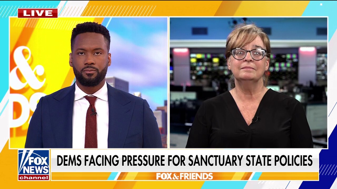 Patty Morin calls out Democrats for downplaying illegal immigration: 'Mind-boggling'