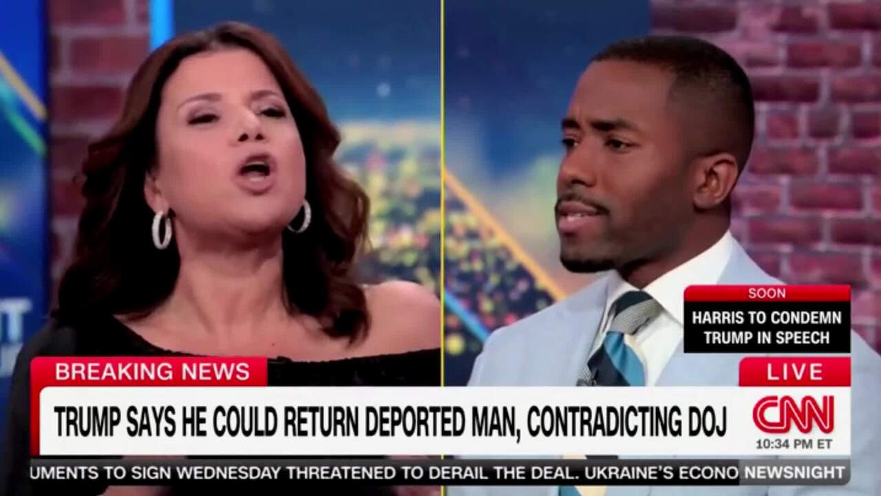 Ana Navarro and Shermichael Singleton get into explosive argument over immigration and slavery