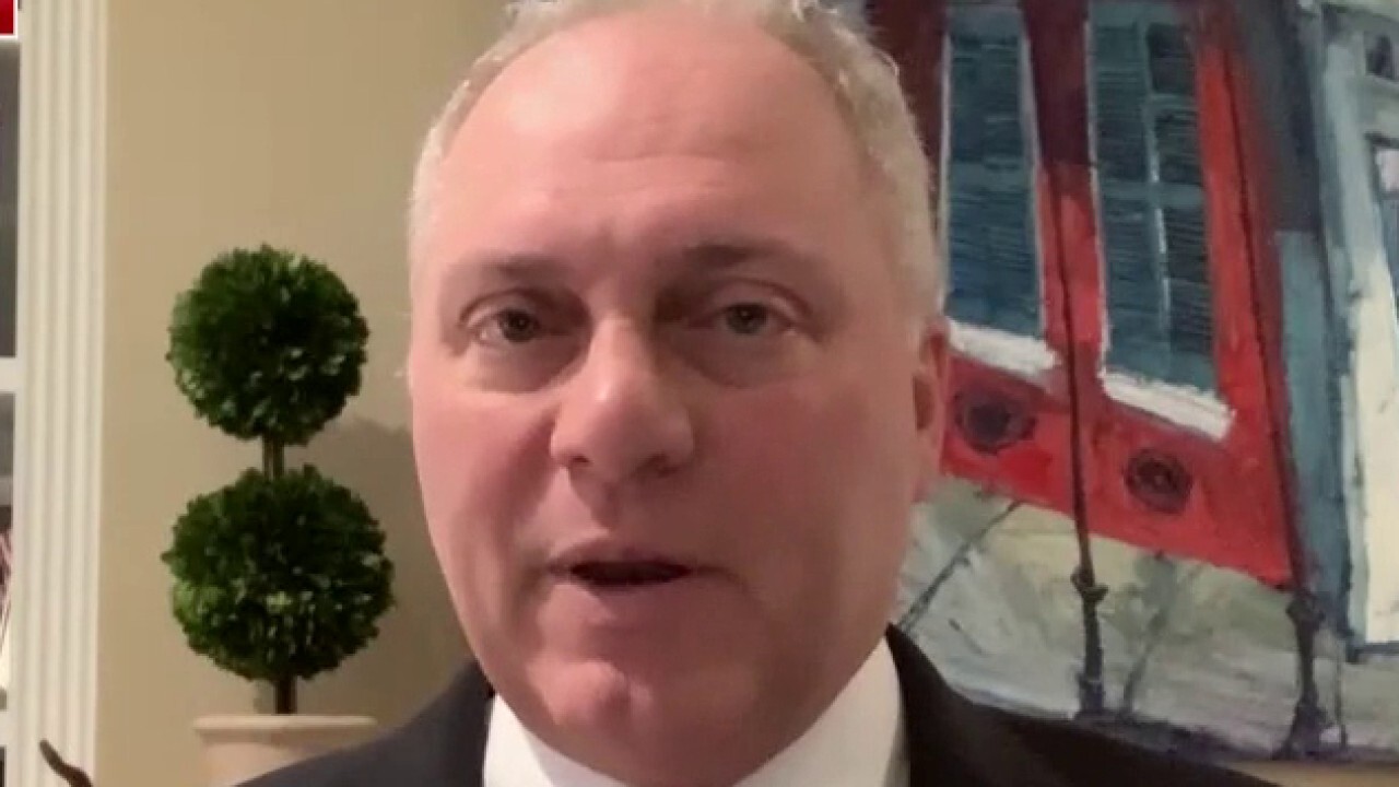 Rep. Steve Scalise: Laws aren’t being followed for 2020 election, need ‘transparency’