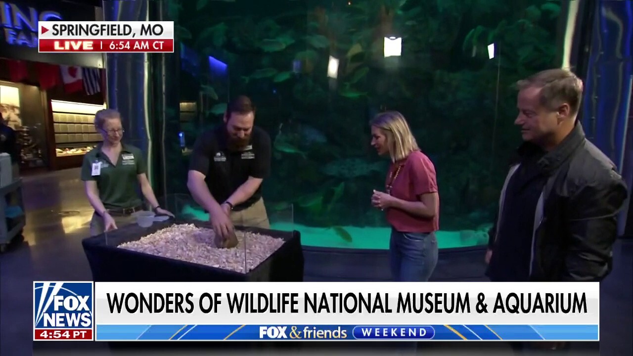 Fox News' Rick Reichmuth heads to 'Wonders of Wildlife' to celebrate Bass Pro Shops' 50 years in business