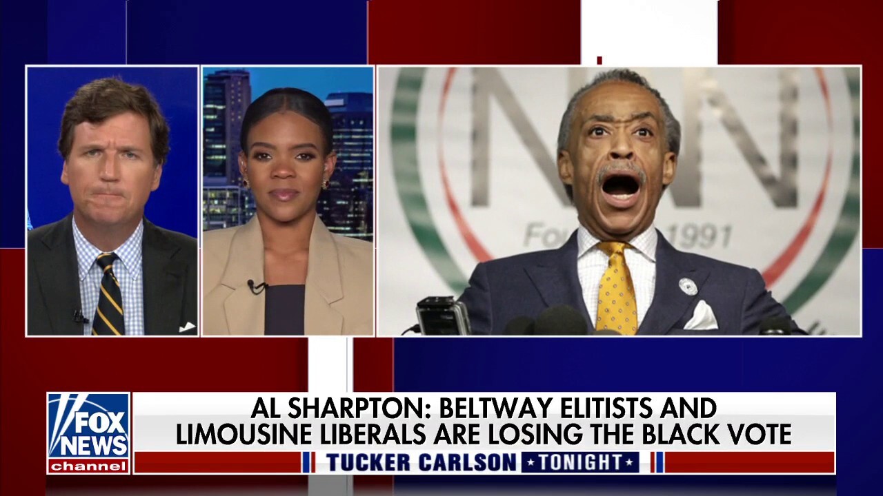 Candace Owens laces into MSNBC host Al Sharpton's hypocrisy