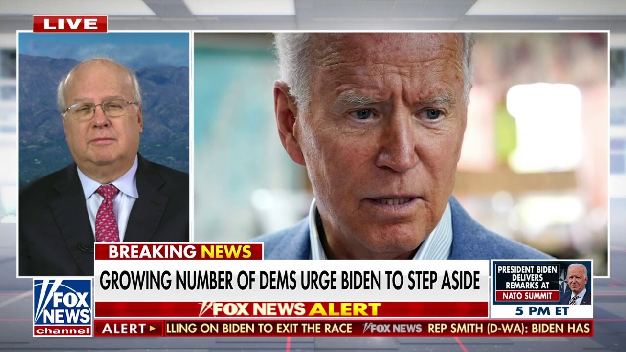 Karl Rove calls out ‘selfish’ Bidens for refusing to put the country first amid age concerns