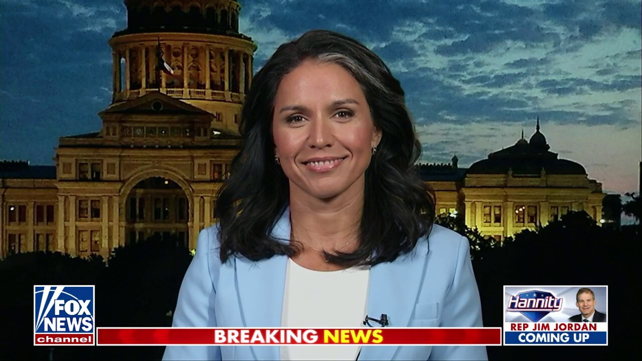 Kamala Harris will try to 'hide' her record from the American people: Tulsi Gabbard