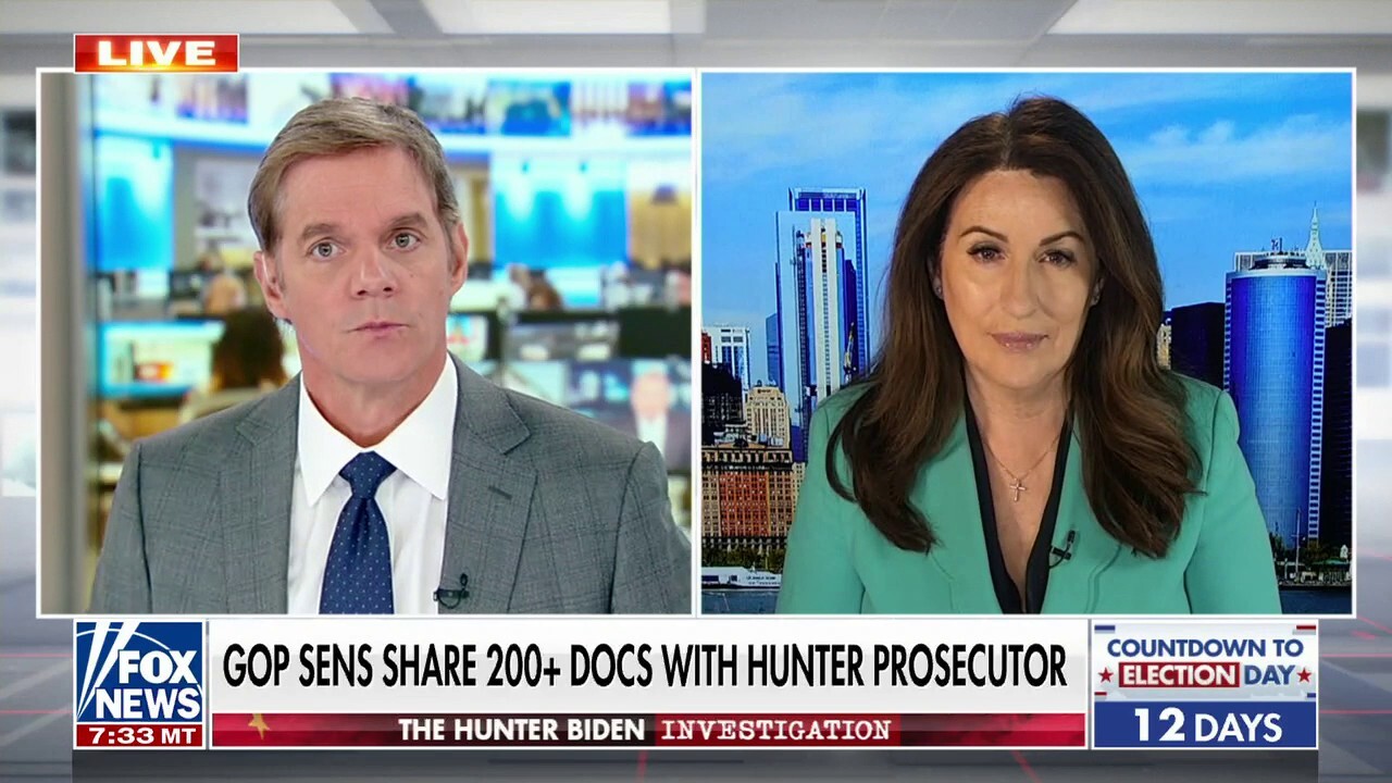 Miranda Devine: Sens. Grassley, Johnson are 'unsung heroes' of Hunter Biden investigation