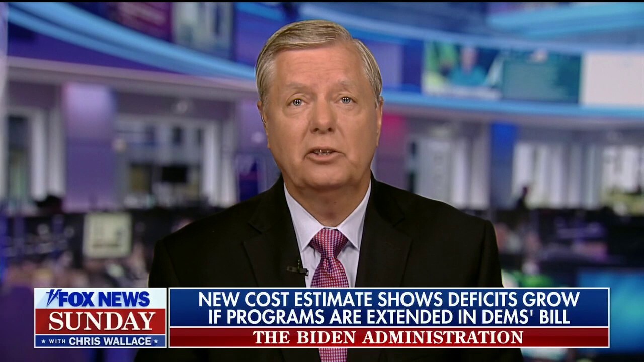 Sen. Lindsey Graham, R-S.C., joined 'Fox News Sunday' to discuss the bill, warning it will 'destroy this country' if it becomes law.