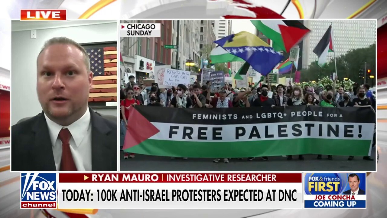 Expert reveals new findings surrounding anti-Israel protests at DNC: 'Really extreme stuff'