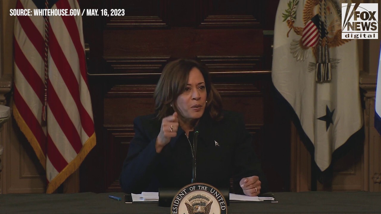 Flashback: Kamala Harris seeks to define 'equity vs. equality'