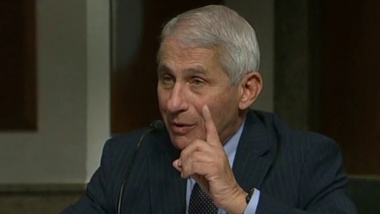 Dr. Fauci: Only way we could have stopped explosion of COVID-19 infections was to have physical separation 