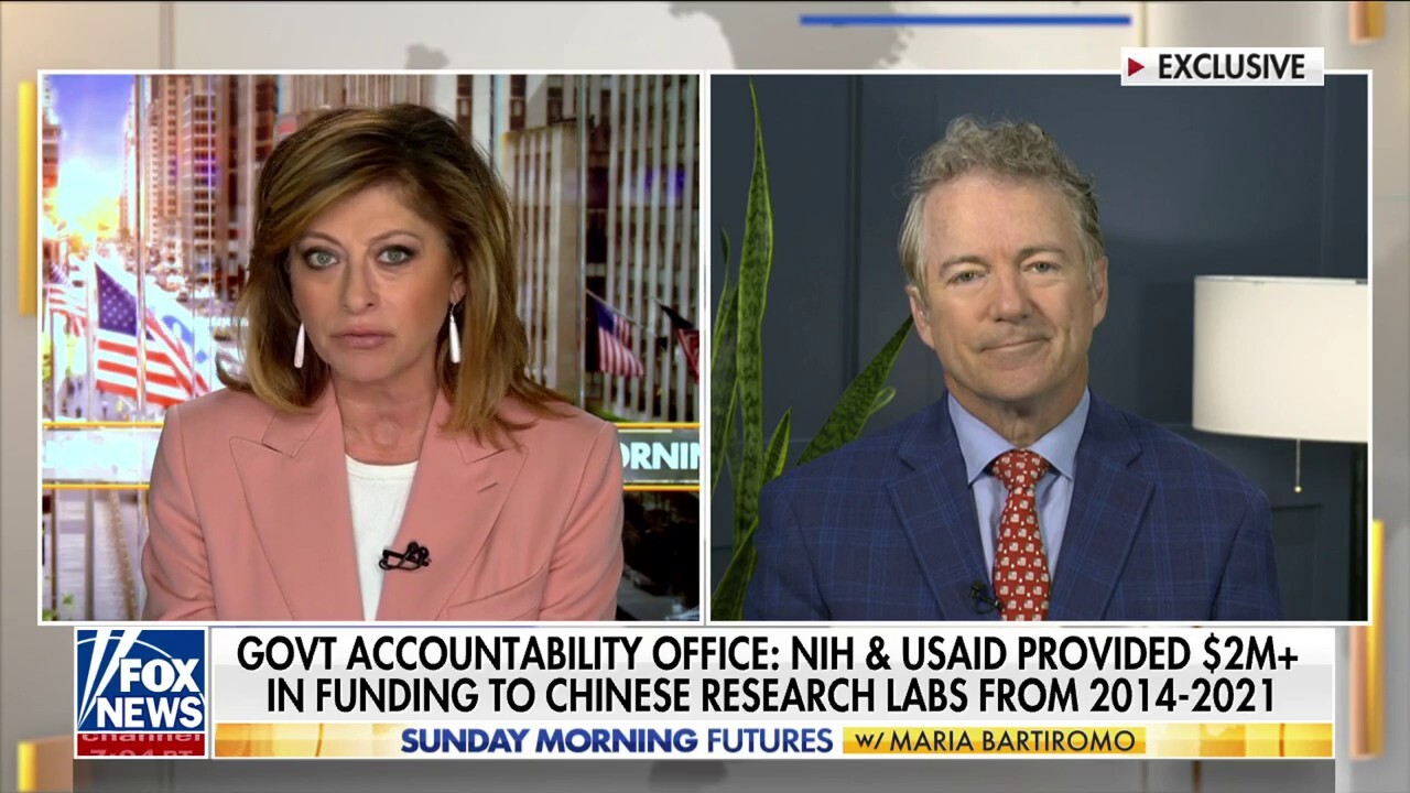 Rand Paul calls for 'international consortium of countries' to cut gain-of-function research: 'Very serious'