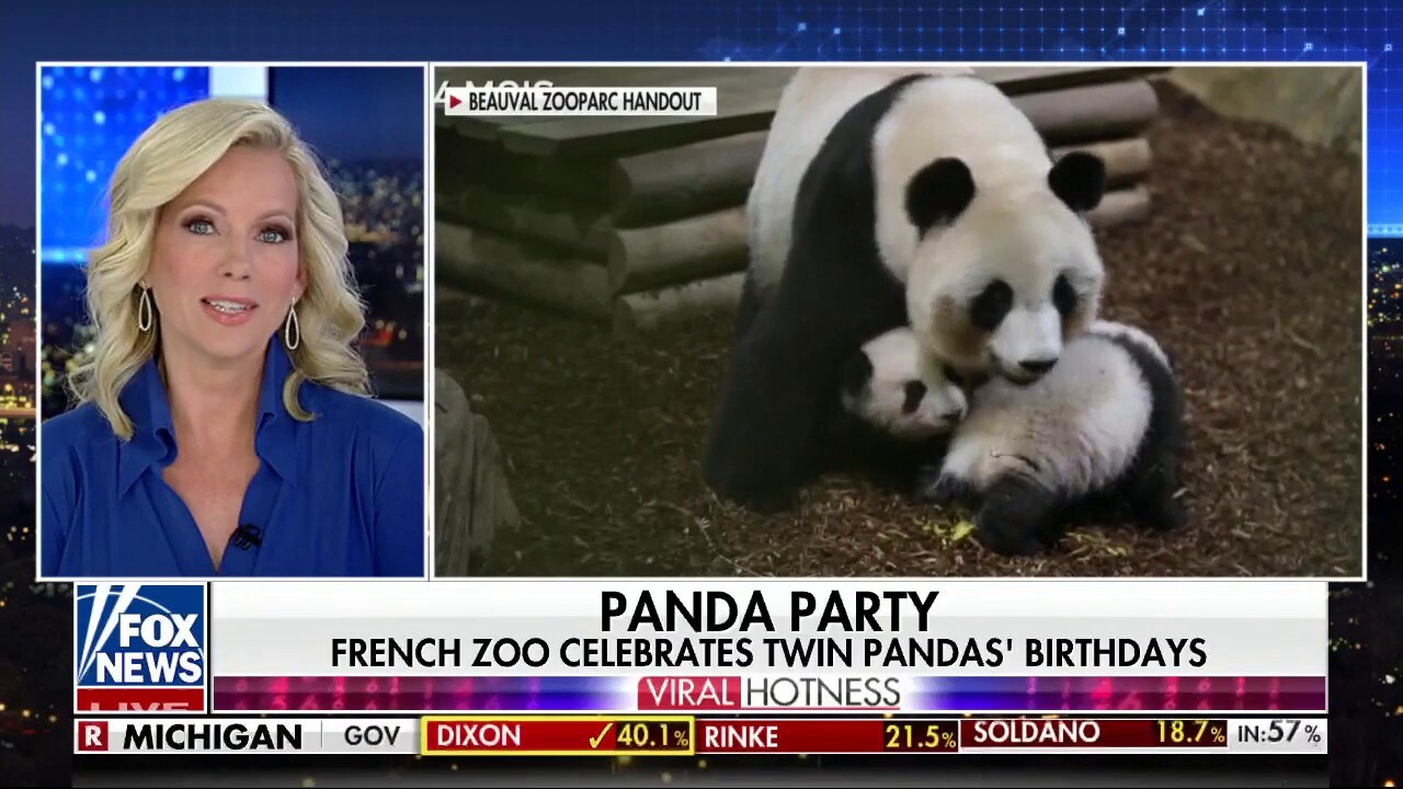 French zoo celebrates twin pandas’ birthdays
