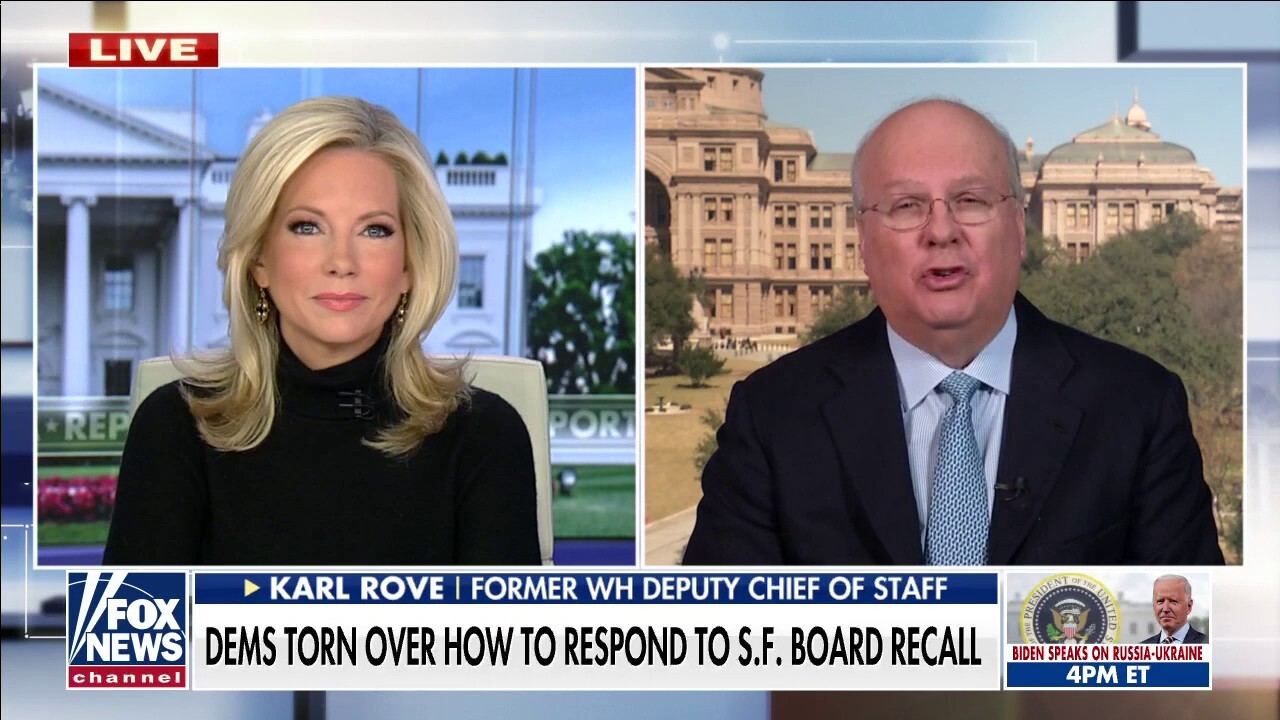Karl Rove: Dems are going to face consequences at the polls for embracing woke movement
