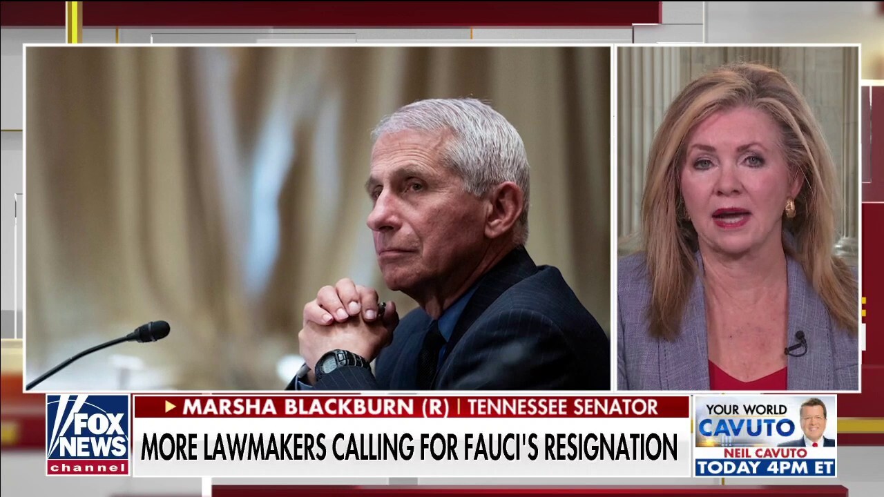 Fauci is using the media and Big Tech to build ‘PR campaign’ and deflect criticism: Blackburn