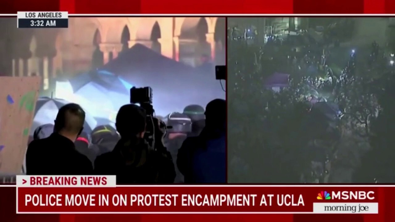 MSNBC's Rev. Al Sharpton compares anti-Israel demonstrations to January 6th