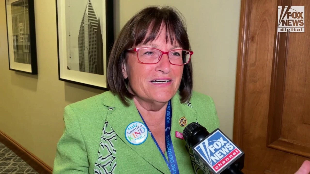 Rep. Annie Kuster speaks with Fox News Digital on enthusiasm for Kamala's ticket